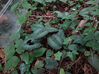 返す１