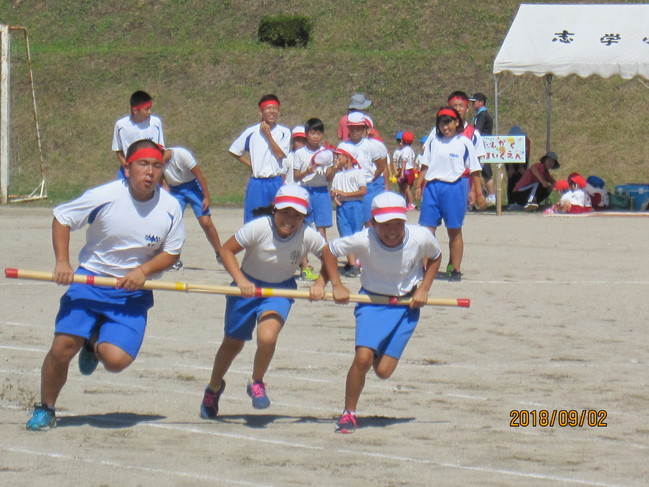 志学タイフーン