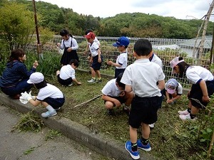 苗植え１