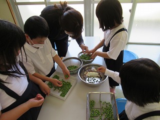 給食お助け隊１