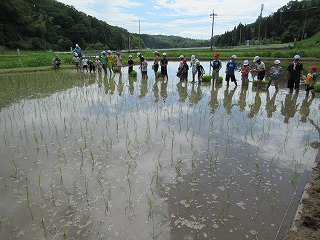 田植え１