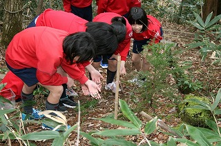 3月5日放す３