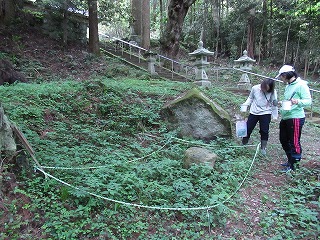 5月卵探し