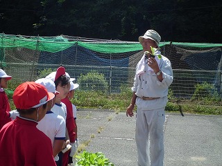 9月野菜３