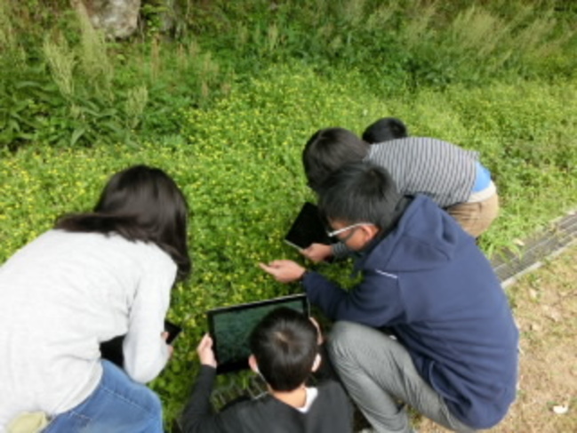 生き物見つけ