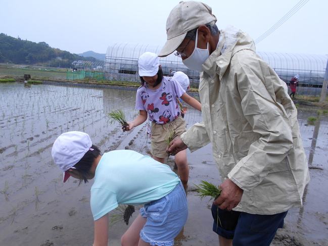 田植え２