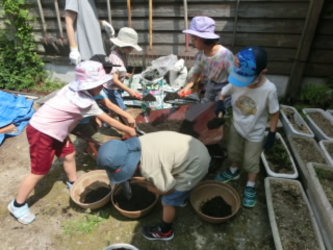 花の植え替え 大田市小中学校教育サイト 花の植え替え 大田市小中学校教育サイト
