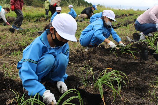 西の原植栽２