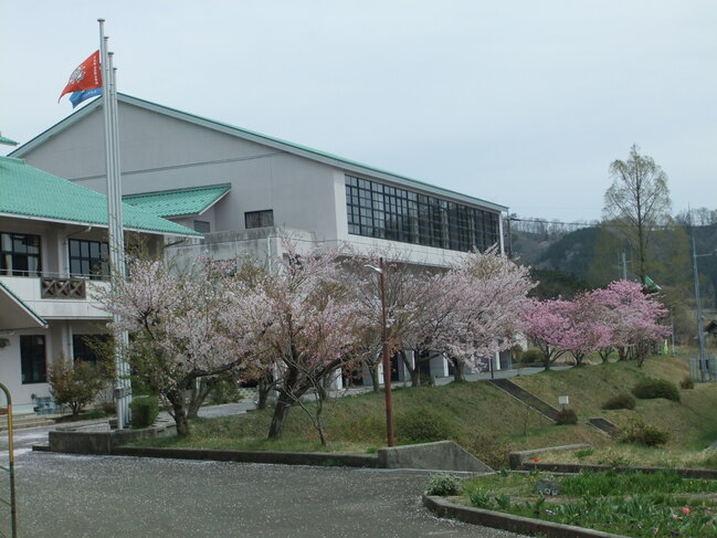 nyugaku1