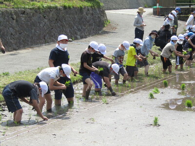 田植１