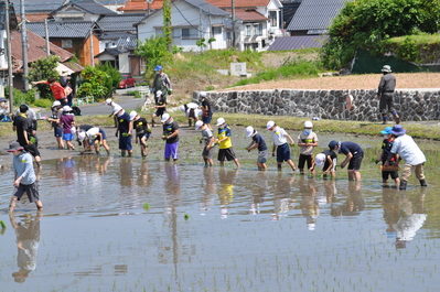 田植２