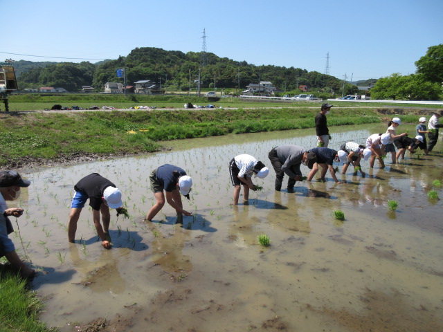 田植え1