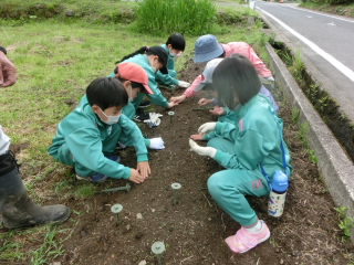 たねまき