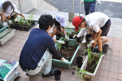 植替え５