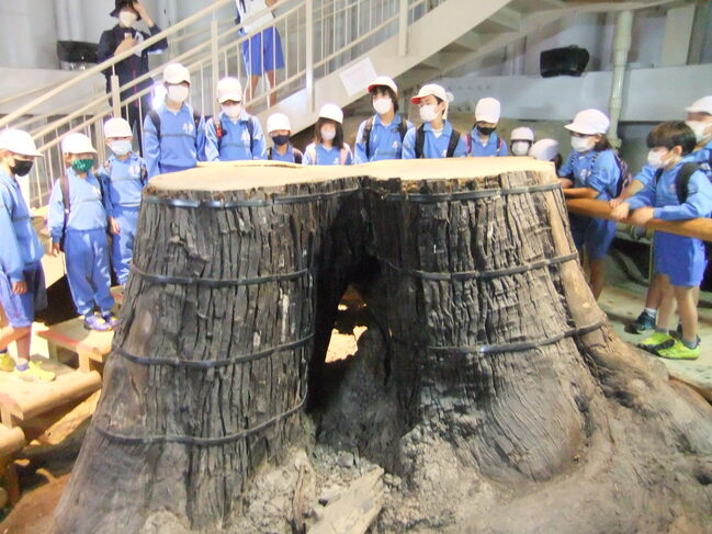 19