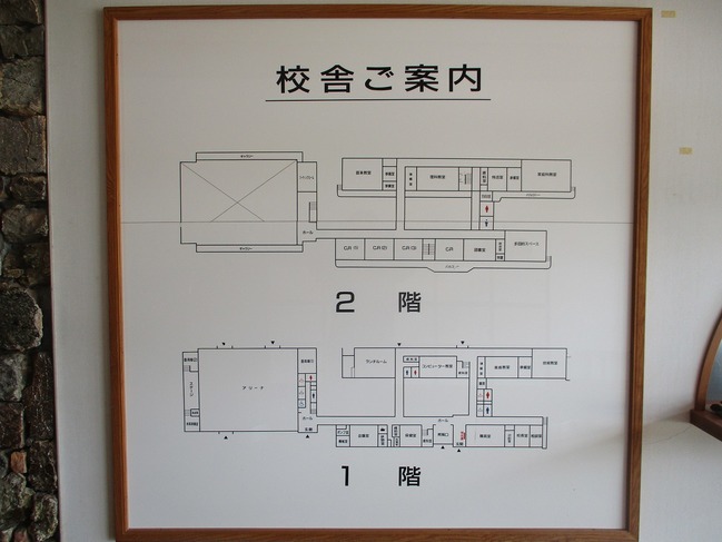 活動