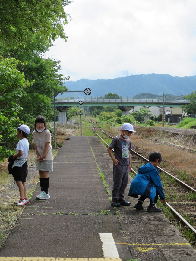町たんけん