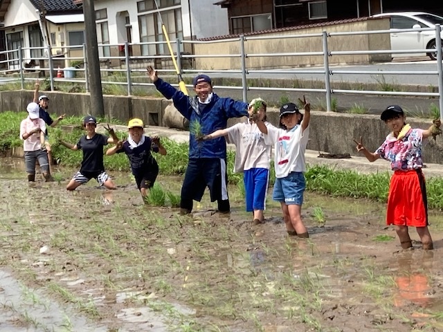 田植え