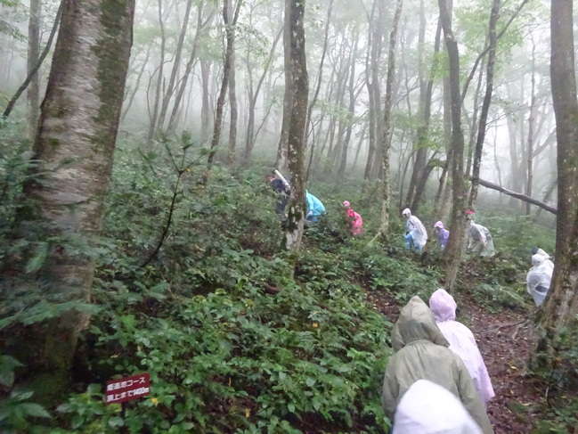 登山１