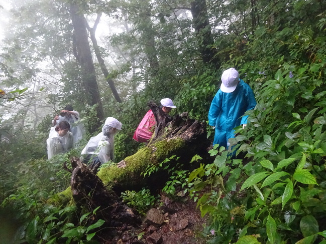 登山２