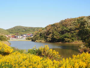 東池