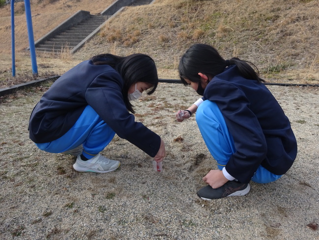 クラブ