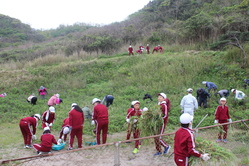 ハマナス園