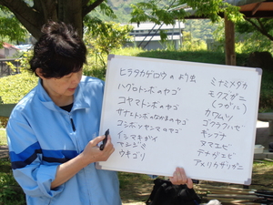 生き物調査