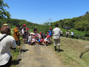 田植え