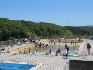 プール掃除