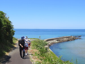 海岸清掃
