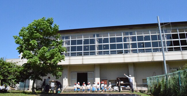 5月いも苗植え