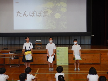 たんぽぽ1