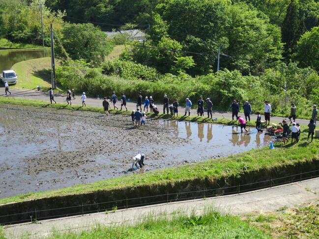 田植え２