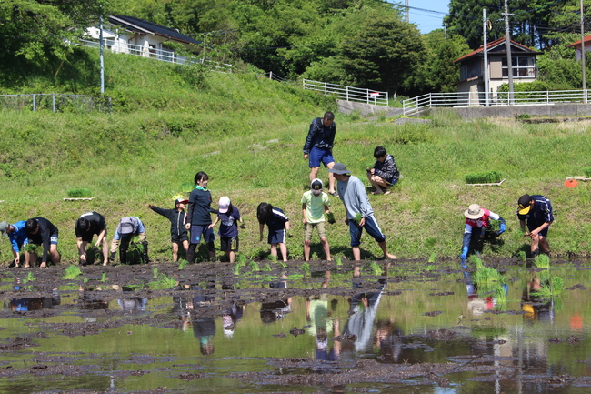 田植え３