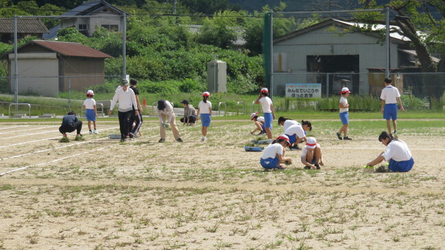 草取り１