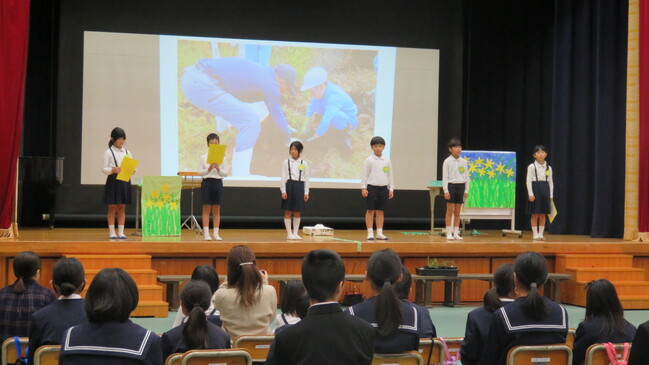 中学年