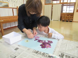 コスモス１
