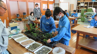 植物