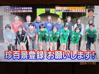 活動