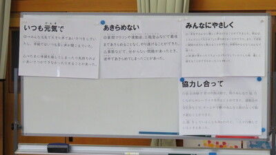 高内容