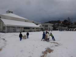 雪２