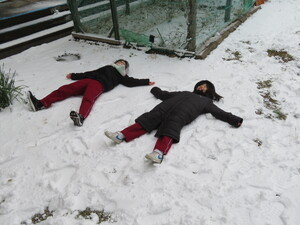 雪