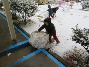 雪