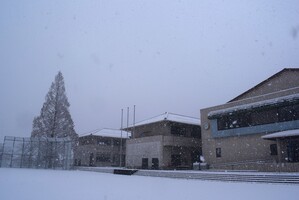 雪遊び１