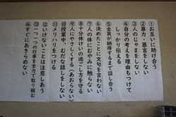 志