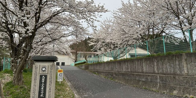 2025 桜03