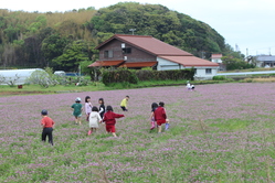 れんげ