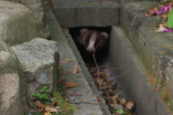 １