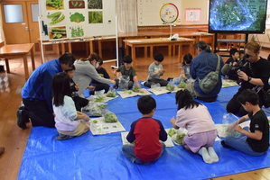 給食お助け隊２